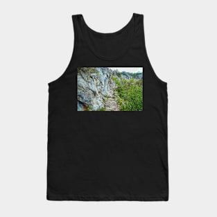 Rocky trail on mountains Tank Top